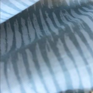 Meet your Posher, Kayden